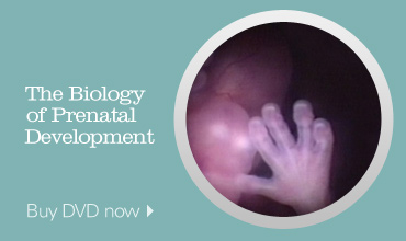 Buy the Biology of Prenatal Development DVD