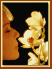 woman smelling flowers, nose, smell
