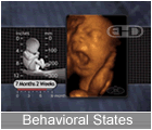 Play Movie - 7 to 8 month fetus, behavioral states